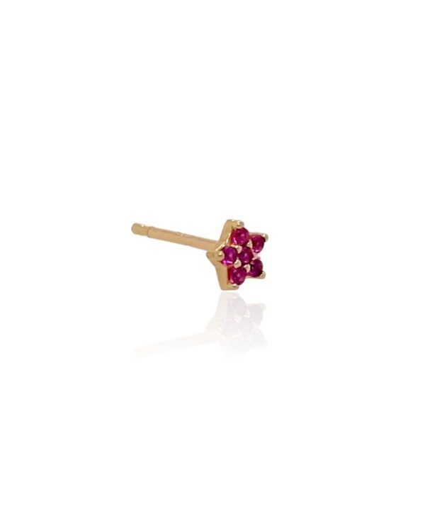 Arete star petit fucsia Joyería Petunia