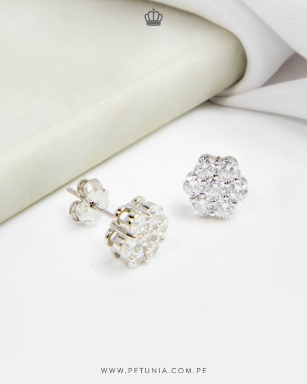 Aretes Roseta Plata XL