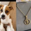 Dije mascota en oro