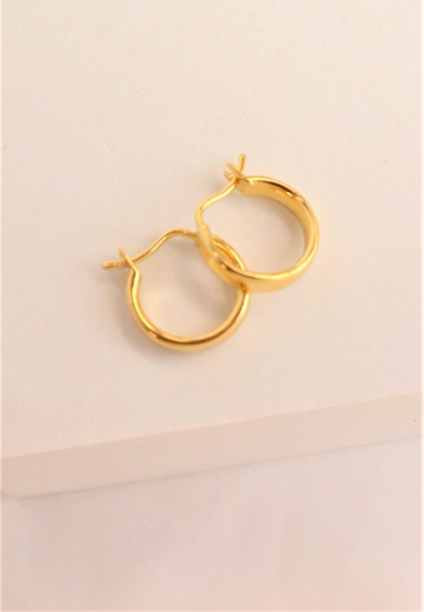 Argollas Emiliana