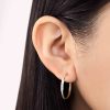 Argollas Alicia