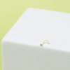 Nostril Lily Chispa 2.5 mm