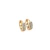 Argollas circular cristal