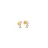Aretes Crown