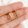 Aretes Jay