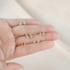 Aretes Crown