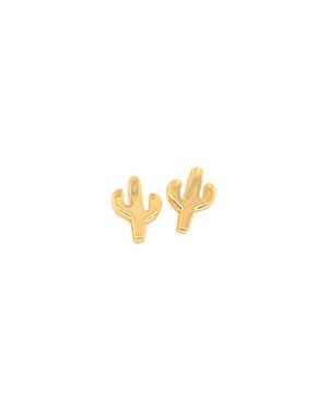 Aretes cactus