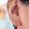 Piercing Farfalla Lila 18k