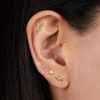 Cita Privada Petunia Luxury Piercing