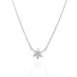 Cadena Roseta Plata 6mm