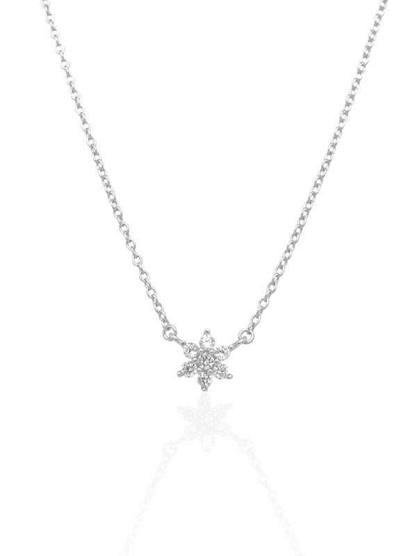Cadena Roseta Plata 6mm