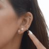 Arete Libelula cadena