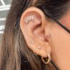 Piercing Taylor