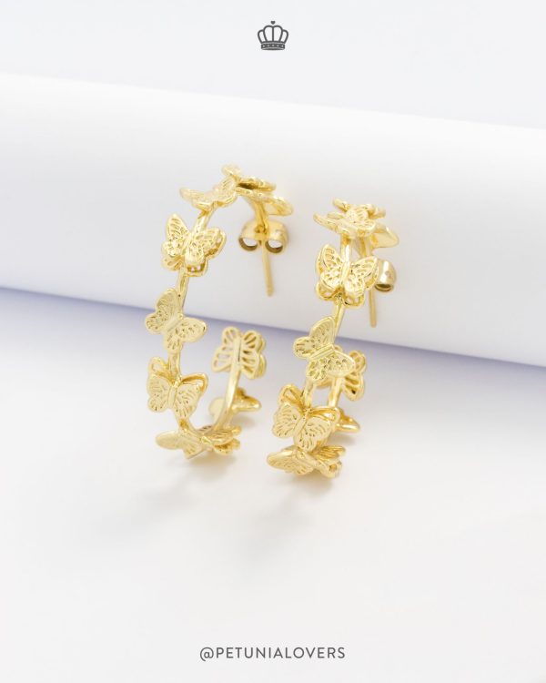 Argollas Mariposario - Imagen 3