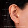 Piercing Roseta Mini