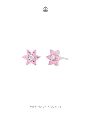 Aretes Roseta Rosado