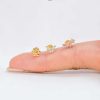 Piercing Girasol