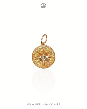 Charm Estrella de David