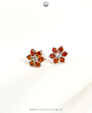 Aretes Roseta granate