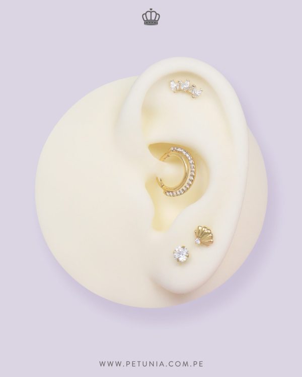 Piercing Shell - Imagen 2