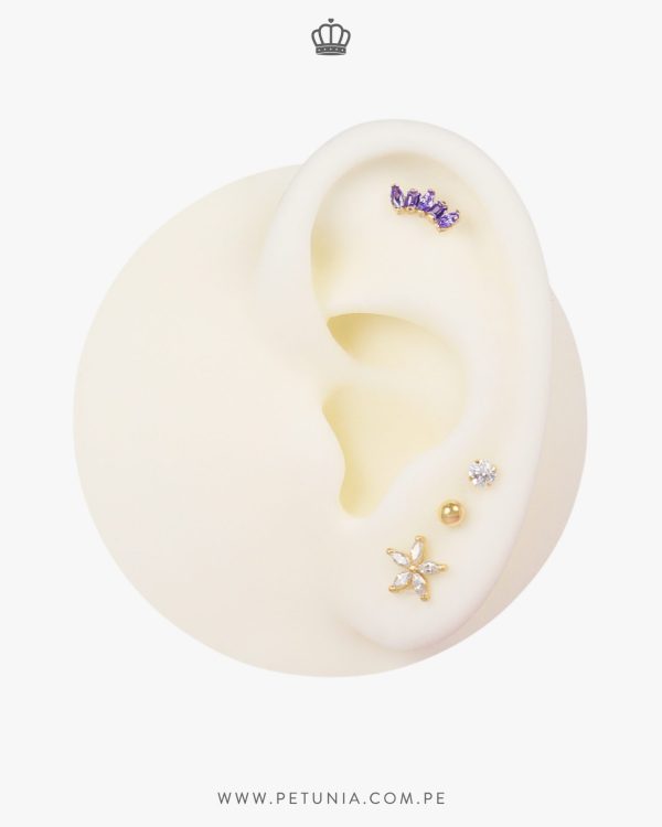 Aretes Clavel cristal - Imagen 2