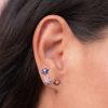 Aretes Roseta granate