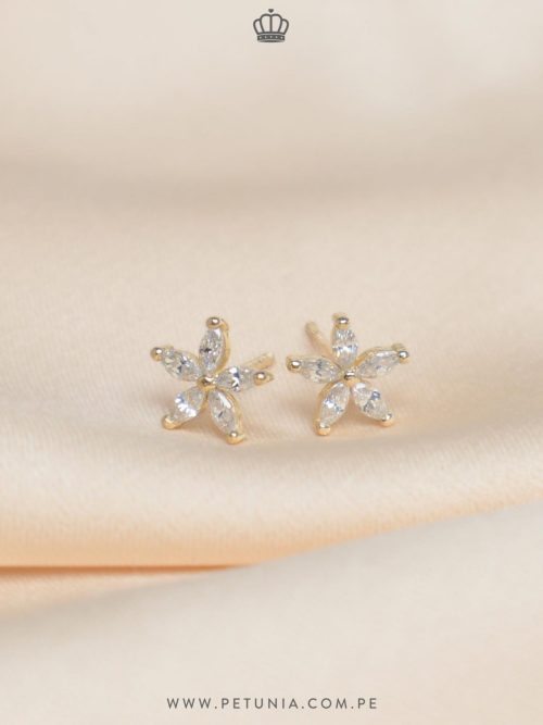 Aretes Clavel cristal