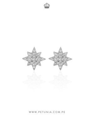 Aretes Nieve Plata