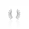 Aretes Trepador Ivy plata