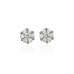 Aretes Roseta Bubu plata