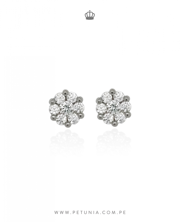 Aretes Roseta Bubu plata