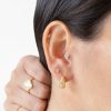 Piercing Arco Sirena tornasol