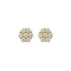 Aretes Layla Moissanita 8mm dorado