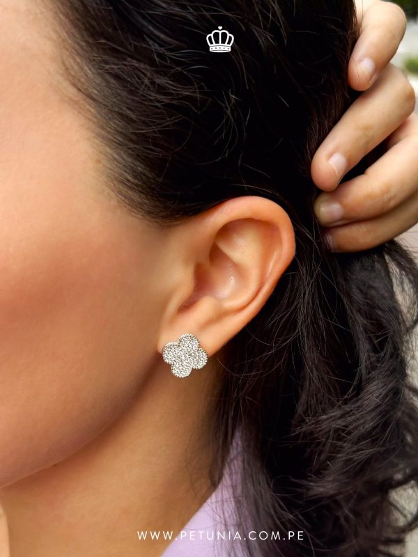 Aretes Anita plata - Imagen 2