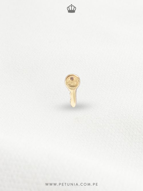 Piercing Gold Key