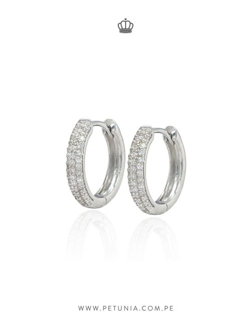 Argollas Georgina Moissanita plata