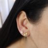Aretes Amanda petit oro
