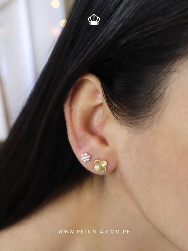 Aretes Amanda petit oro