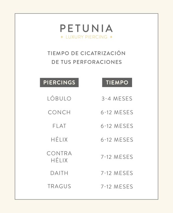 OREJA_cicatrizacion