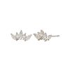 Aretes Ivy plata