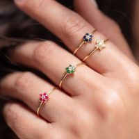 menu_anillos